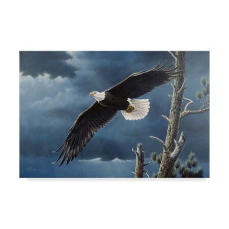 Trademark Fine Art